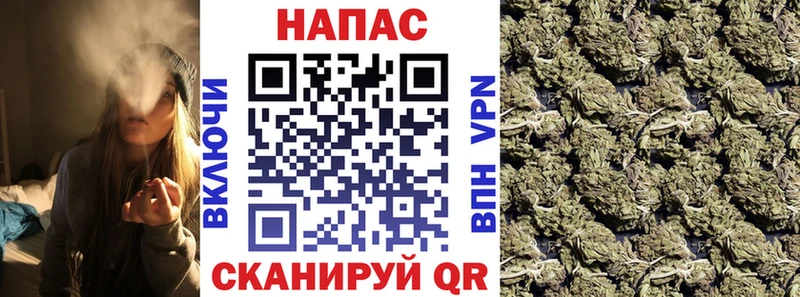 Конопля план Волосово